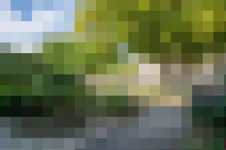 Franklin D Rooseveltlaan 108 Eindhoven thumbnail 9