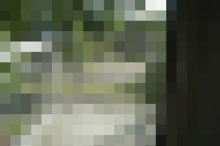 Franklin D Rooseveltlaan 111 Eindhoven thumbnail 12