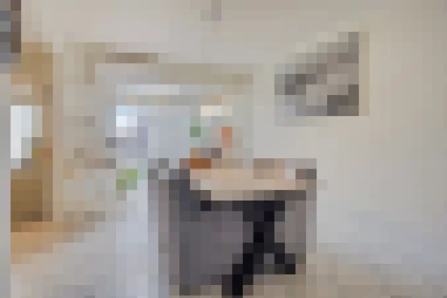 Franklin D Rooseveltlaan 114 Eindhoven thumbnail 14