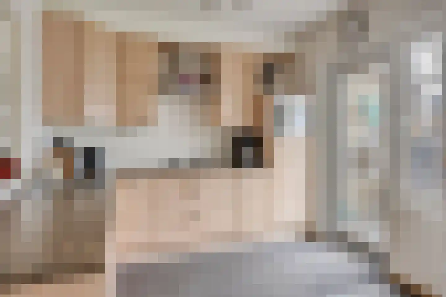 Franklin D Rooseveltlaan 134 Eindhoven thumbnail 12