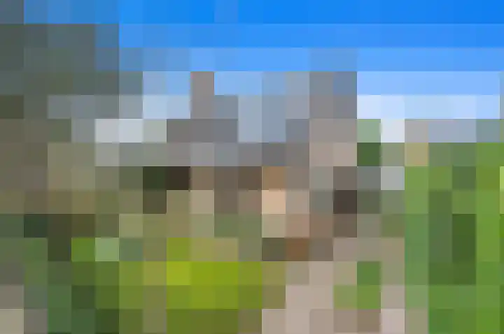 Franklin D. Rooseveltlaan 16 Rijswijk