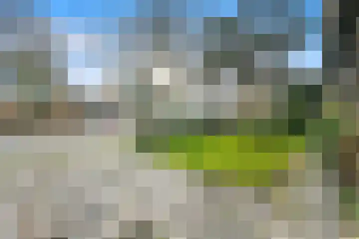 Franklin D. Rooseveltlaan 16 Rijswijk foto 3