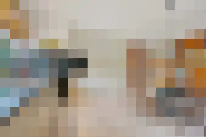 Franklin D. Rooseveltlaan 16 Rijswijk thumbnail 30