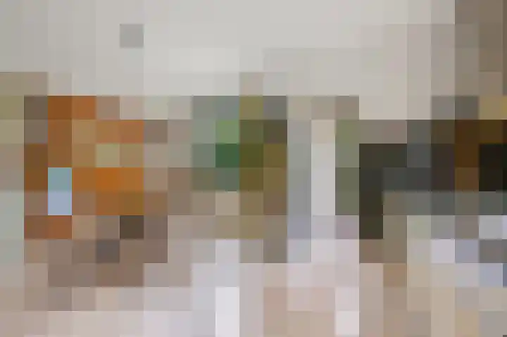 Franklin D. Rooseveltlaan 16 Rijswijk thumbnail 31