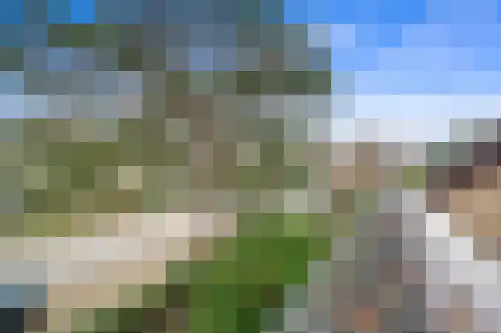 Franklin D. Rooseveltlaan 16 Rijswijk thumbnail 46