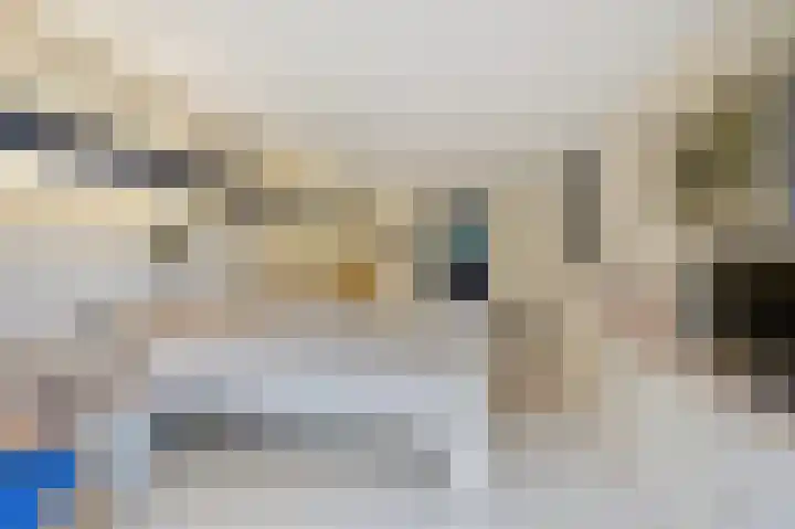 Franklin D. Rooseveltlaan 16 Rijswijk thumbnail 48