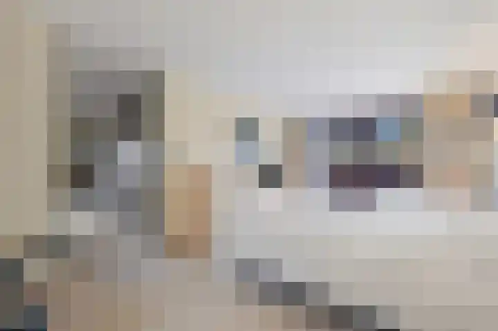 Franklin D. Rooseveltlaan 16 Rijswijk thumbnail 49