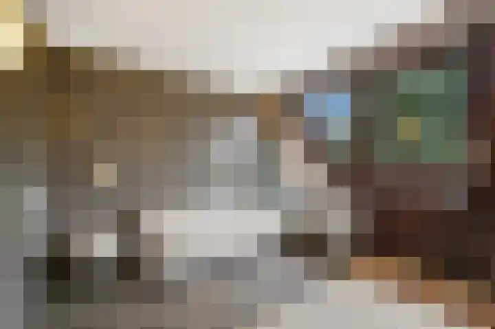 Franklin D. Rooseveltlaan 16 Rijswijk thumbnail 51