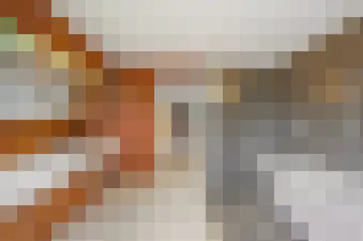 Franklin D. Rooseveltlaan 16 Rijswijk thumbnail 53