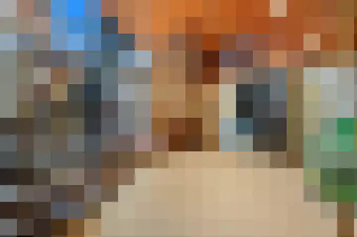 Franklin D. Rooseveltlaan 16 Rijswijk thumbnail 55