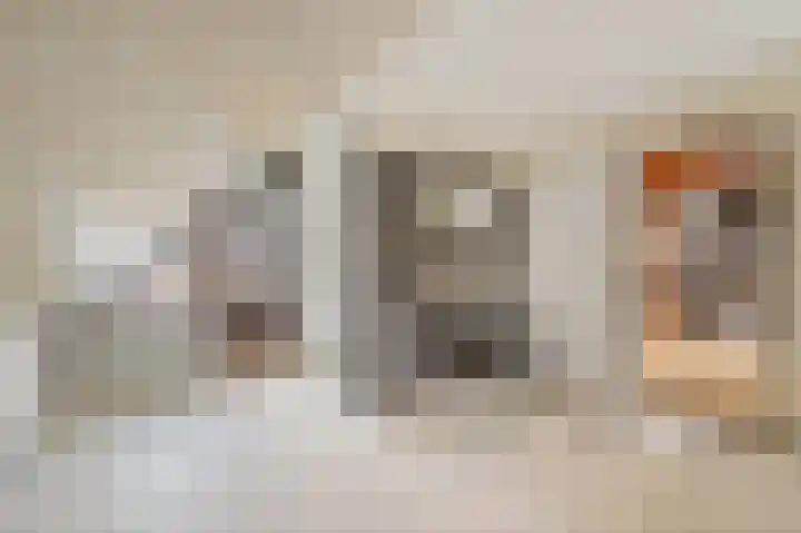 Franklin D. Rooseveltlaan 16 Rijswijk thumbnail 58