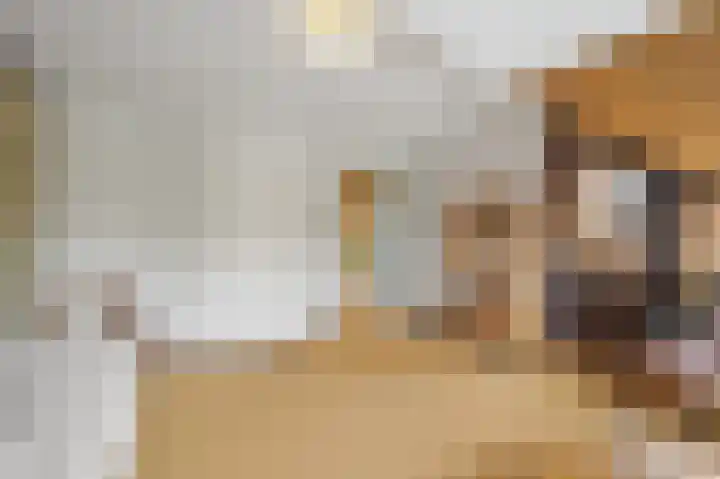 Franklin D. Rooseveltlaan 16 Rijswijk thumbnail 66