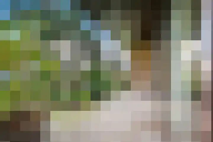 Franklin D. Rooseveltlaan 16 Rijswijk thumbnail 7