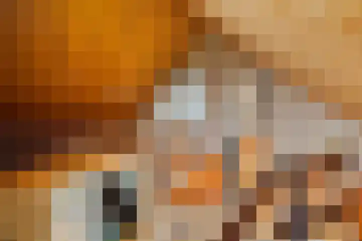 Franklin D. Rooseveltlaan 16 Rijswijk thumbnail 71