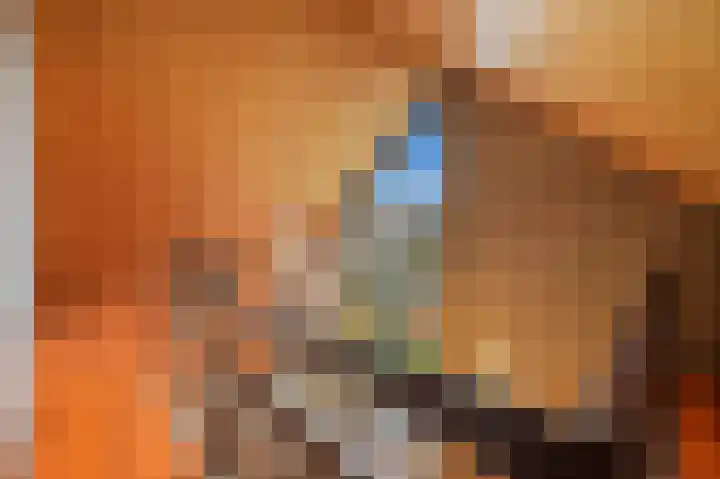 Franklin D. Rooseveltlaan 16 Rijswijk thumbnail 72