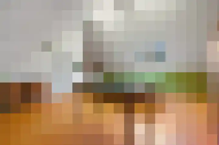 Franklin D. Rooseveltlaan 16 Rijswijk thumbnail 75