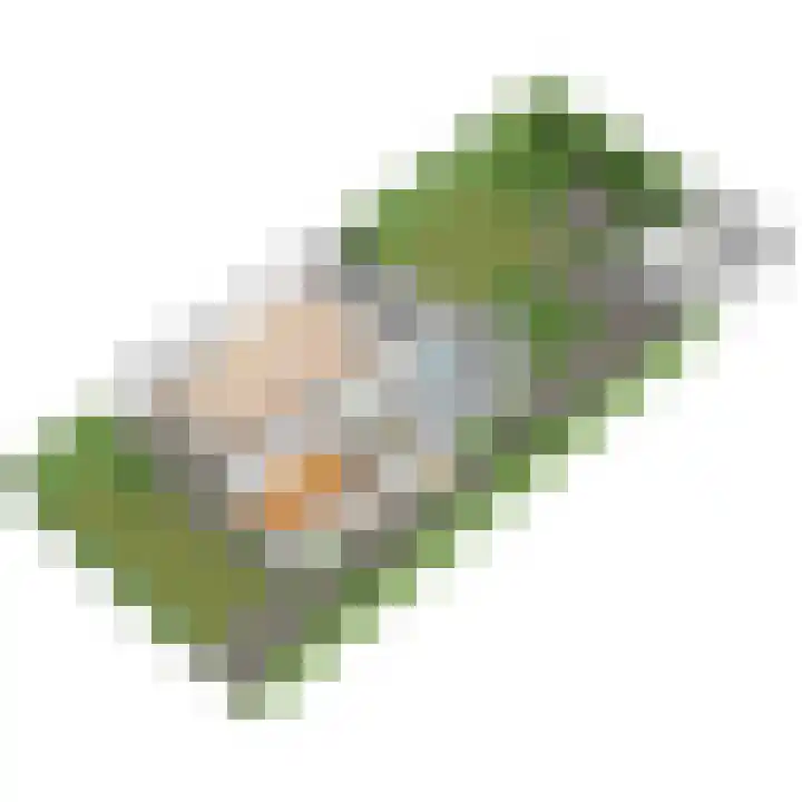 Franklin D. Rooseveltlaan 16 Rijswijk thumbnail 83