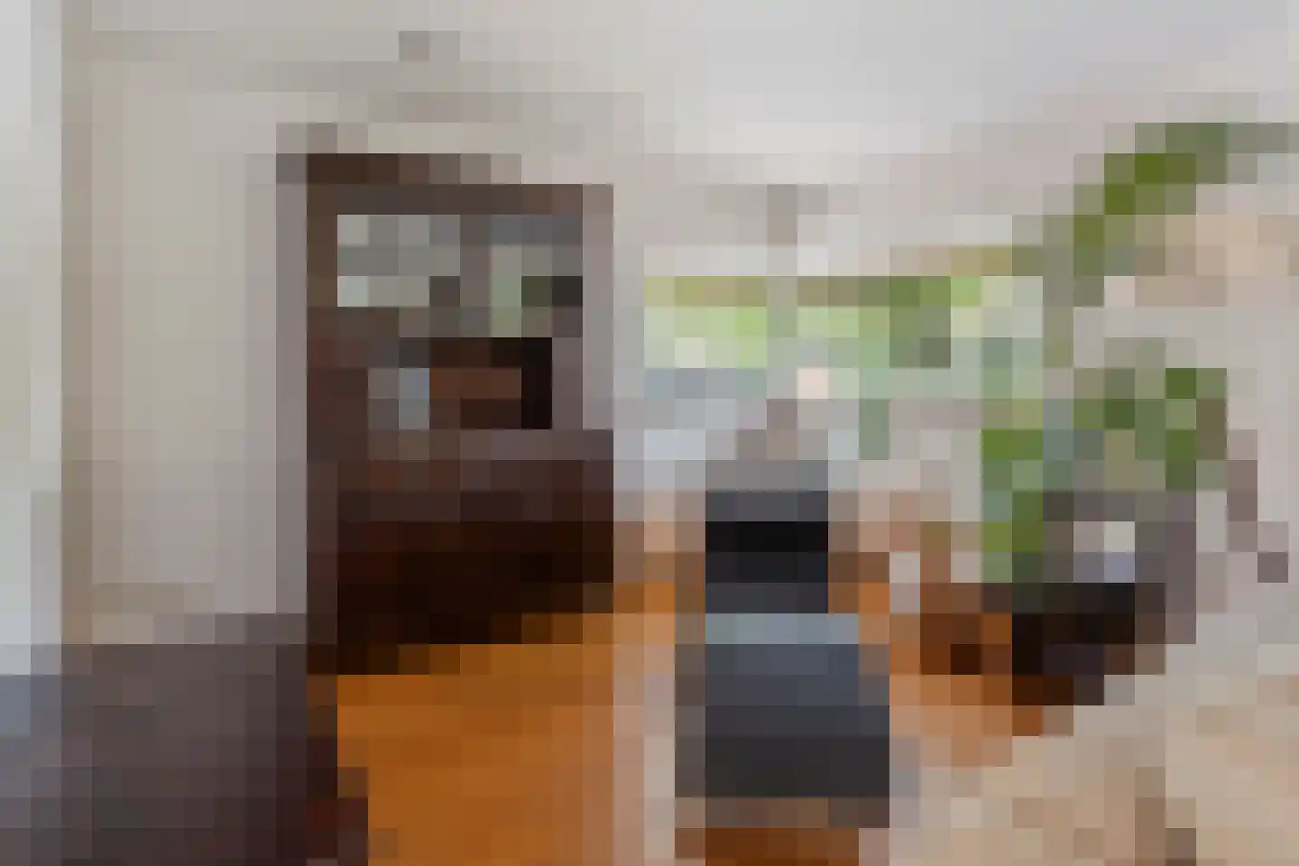 Franklin D. Rooseveltlaan 19 Rijswijk thumbnail 12