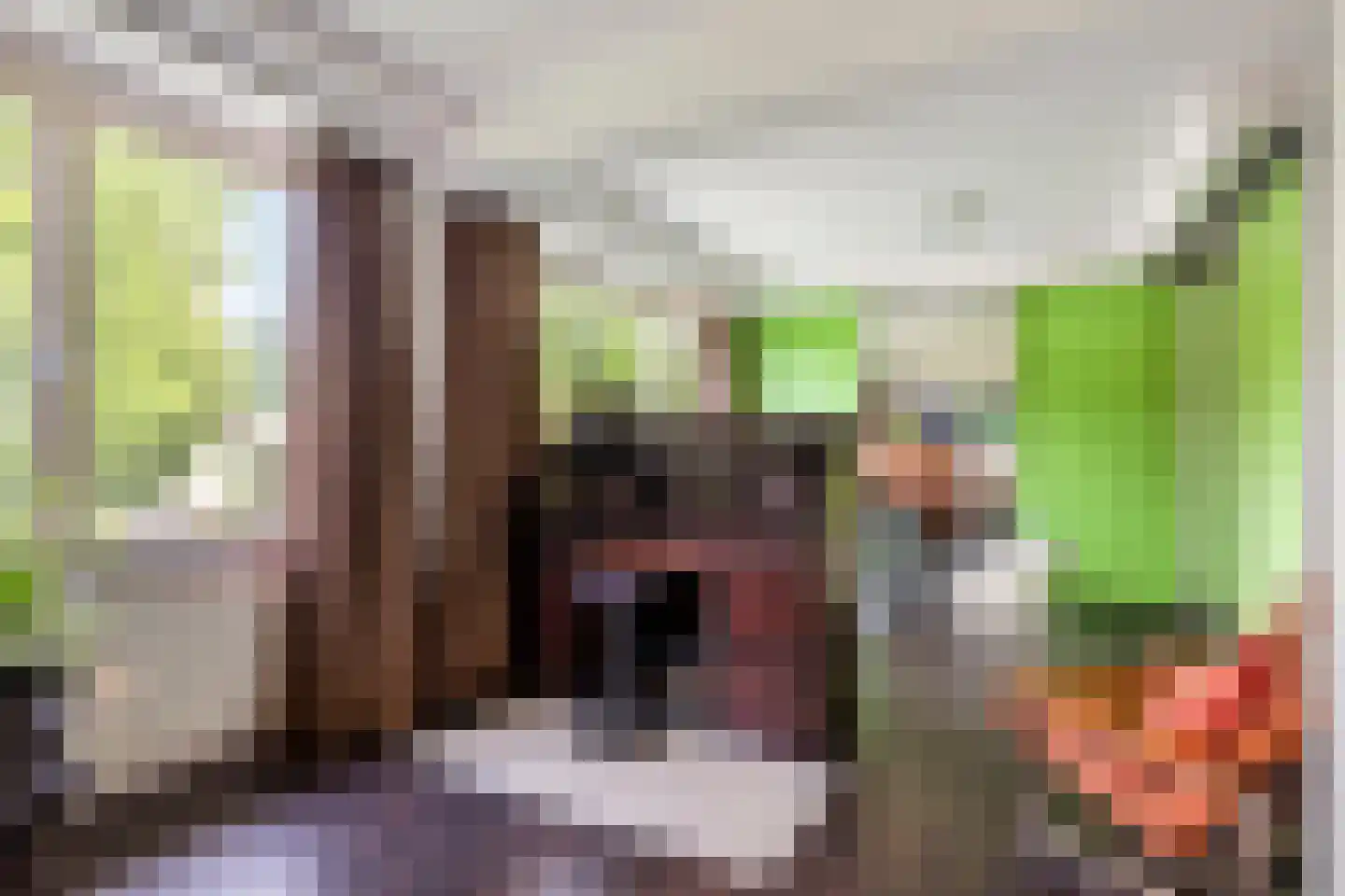 Franklin D. Rooseveltlaan 19 Rijswijk thumbnail 40