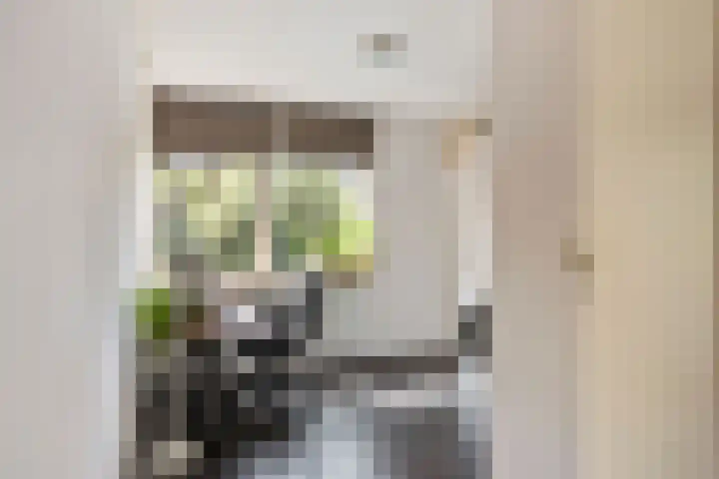 Franklin D. Rooseveltlaan 19 Rijswijk thumbnail 41