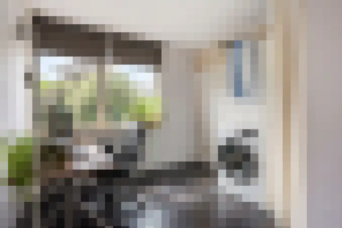 Franklin D. Rooseveltlaan 19 Rijswijk thumbnail 42