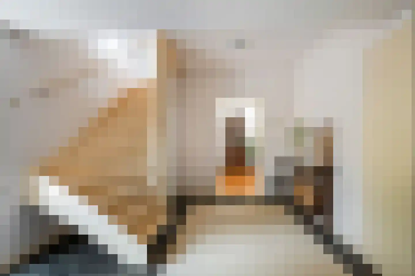 Franklin D. Rooseveltlaan 19 Rijswijk thumbnail 57