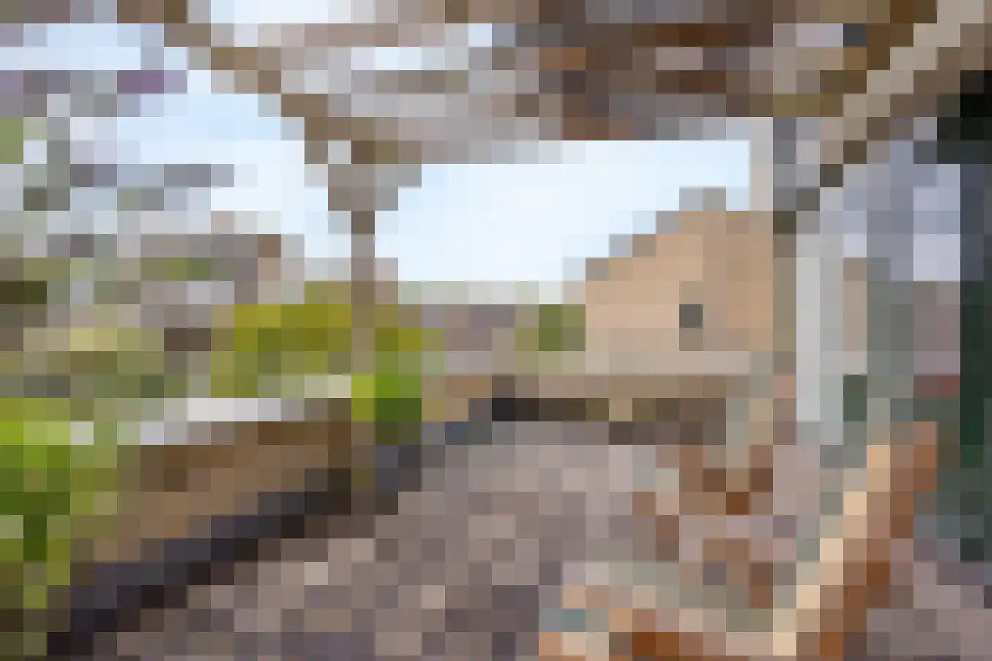 Franklin D. Rooseveltlaan 19 Rijswijk thumbnail 62