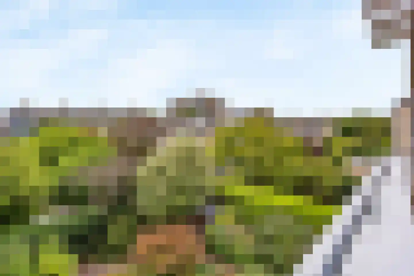 Franklin D. Rooseveltlaan 19 Rijswijk thumbnail 64