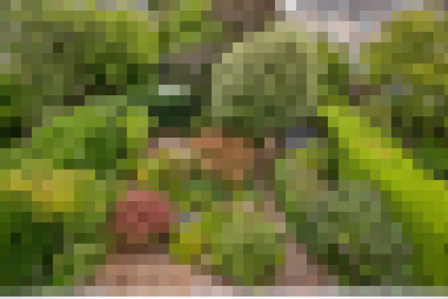 Franklin D. Rooseveltlaan 19 Rijswijk thumbnail 65
