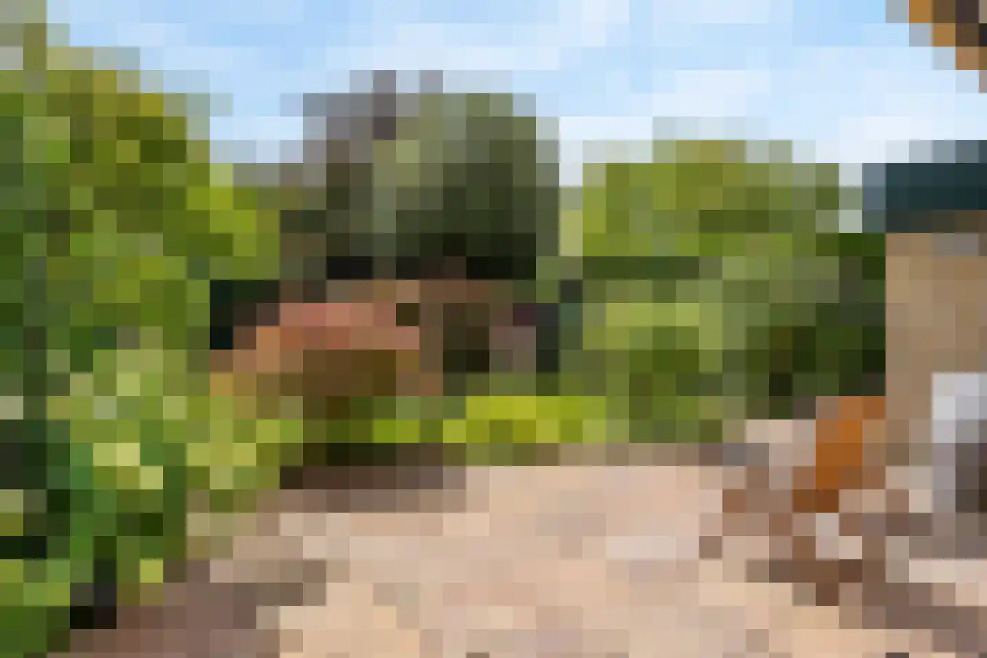 Franklin D. Rooseveltlaan 19 Rijswijk thumbnail 66