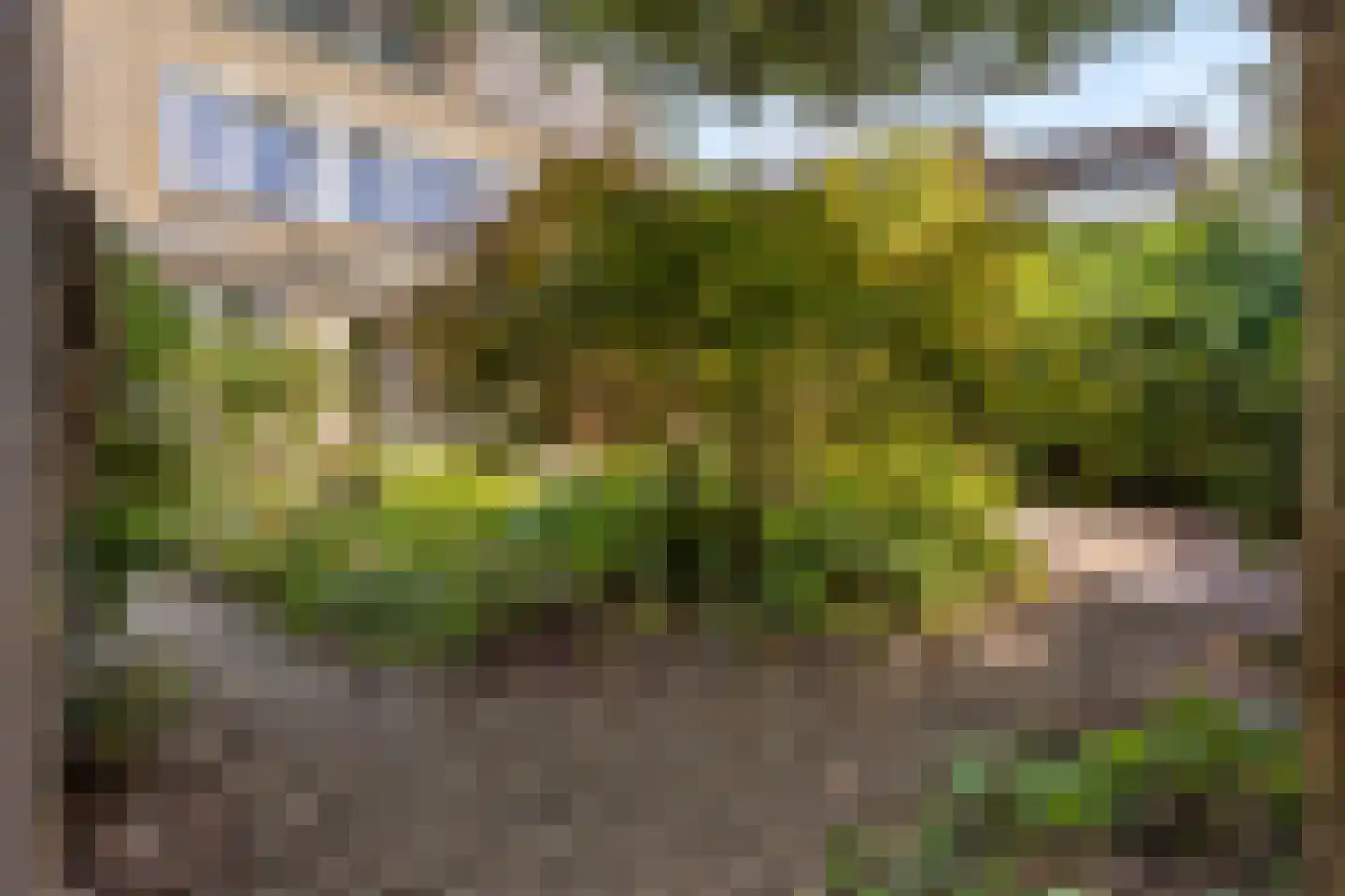 Franklin D. Rooseveltlaan 19 Rijswijk thumbnail 68
