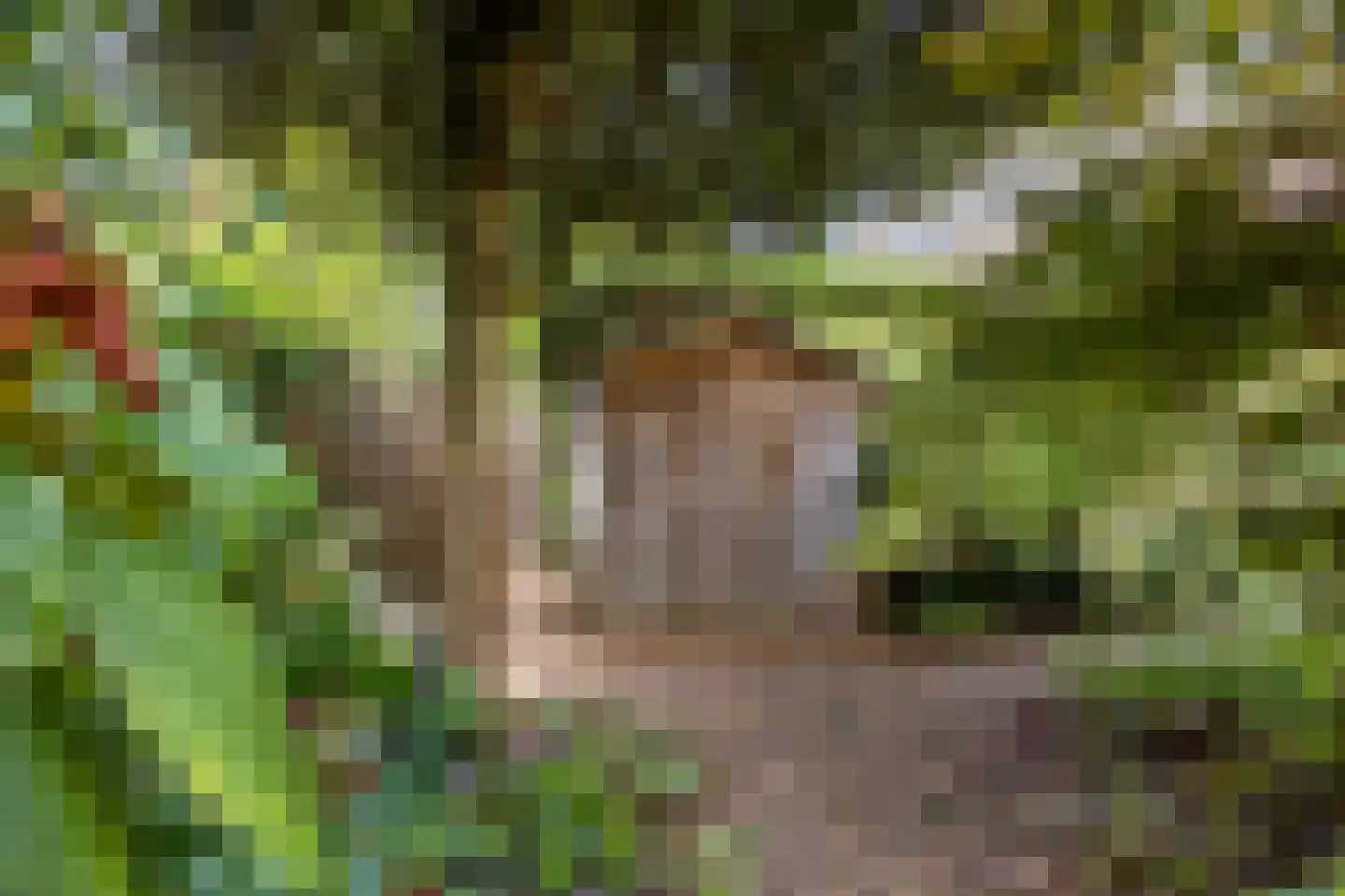 Franklin D. Rooseveltlaan 19 Rijswijk thumbnail 69