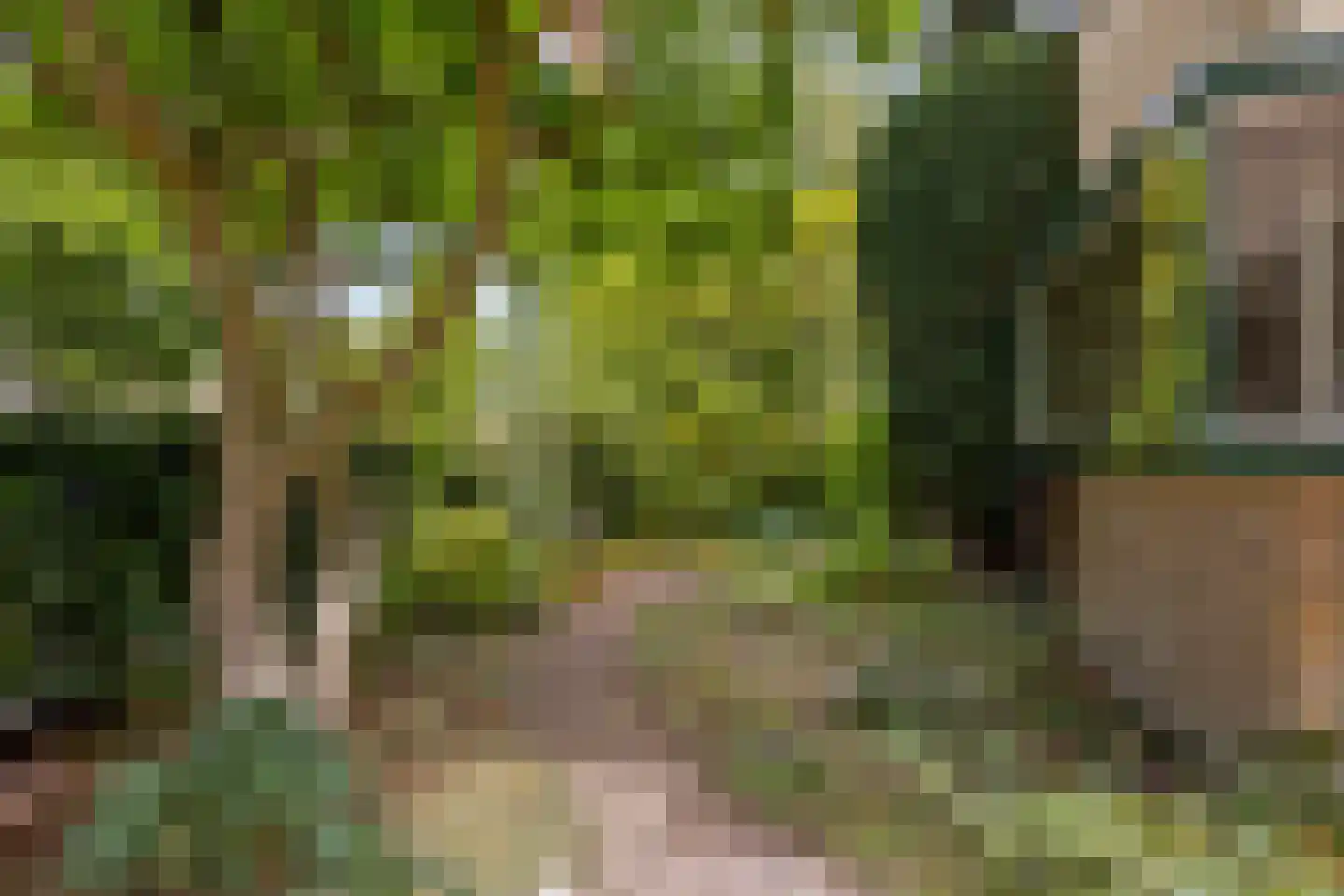 Franklin D. Rooseveltlaan 19 Rijswijk thumbnail 72