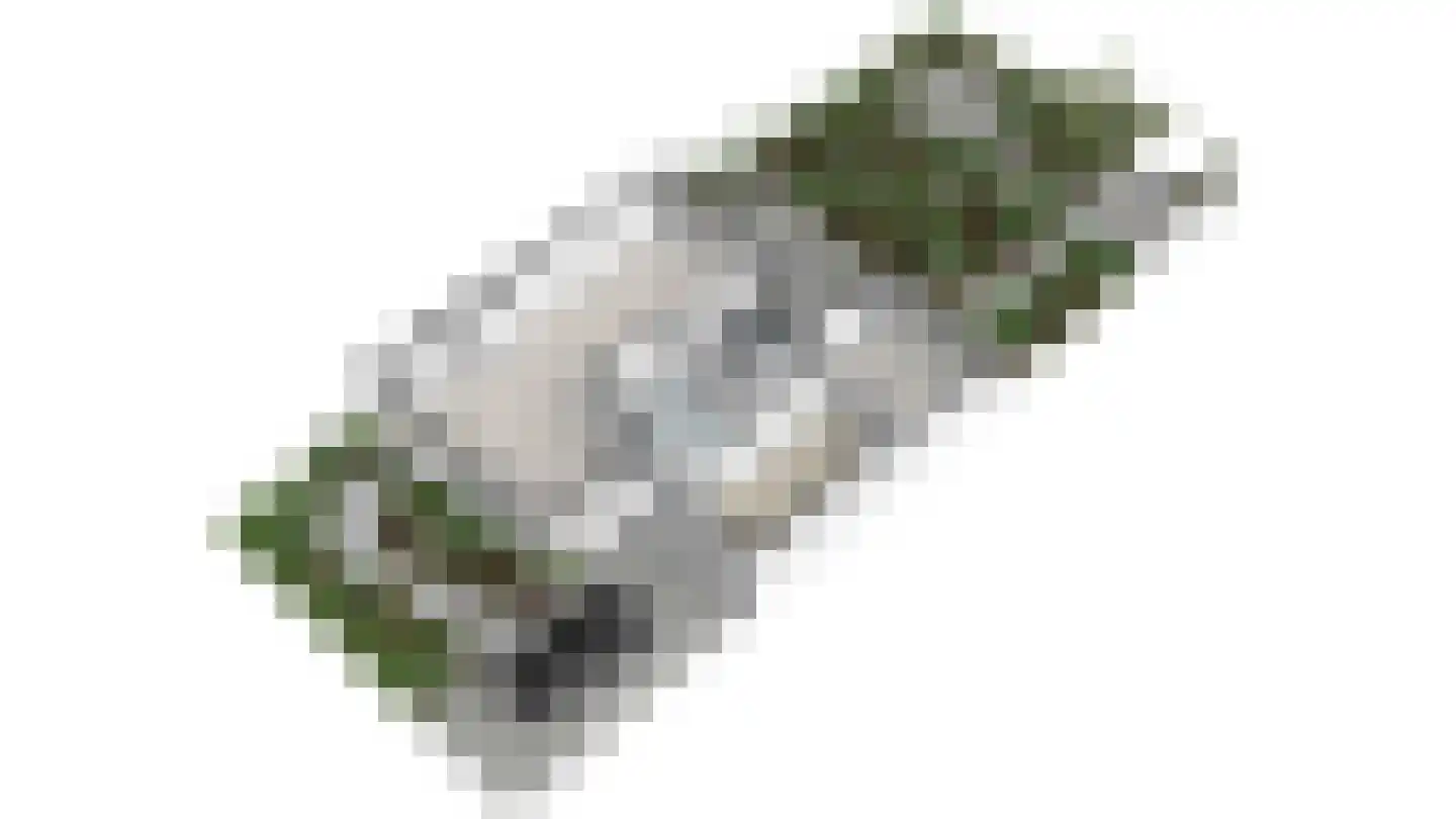 Franklin D. Rooseveltlaan 19 Rijswijk thumbnail 84