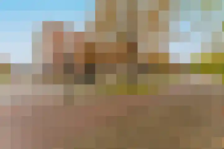 Franklin D Rooseveltlaan 41 Eindhoven thumbnail 7