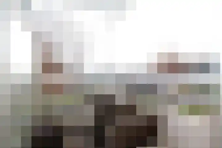 Franklin D Rooseveltlaan 49 Eindhoven thumbnail 13