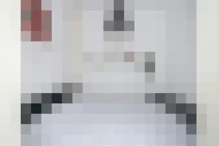 Franklin D Rooseveltlaan 51 Eindhoven thumbnail 17