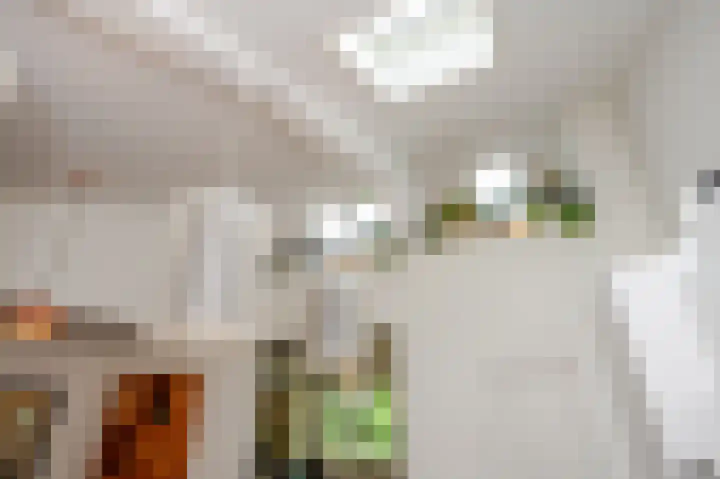 Franklin D. Rooseveltlaan 6 Rijswijk thumbnail 20