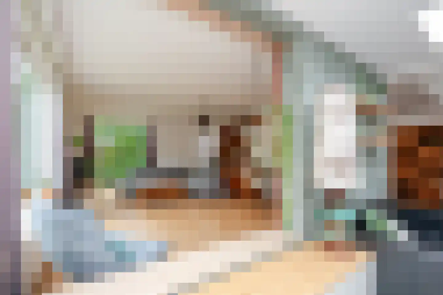 Franklin D. Rooseveltlaan 6 Rijswijk thumbnail 27