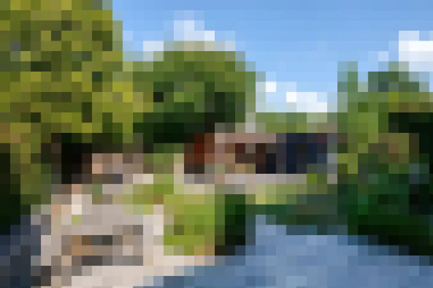 Franklin D. Rooseveltlaan 6 Rijswijk thumbnail 42