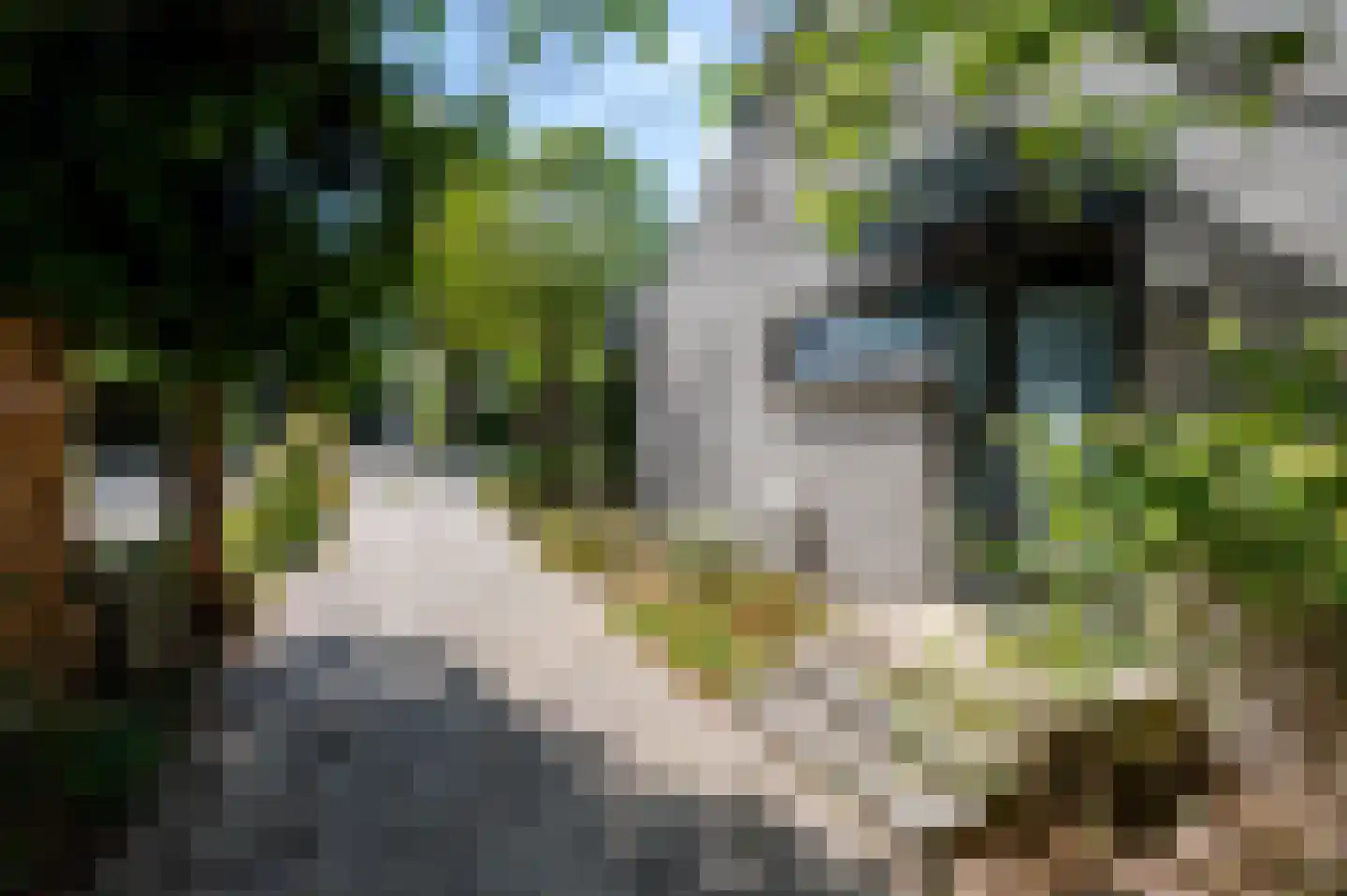 Franklin D. Rooseveltlaan 6 Rijswijk thumbnail 6