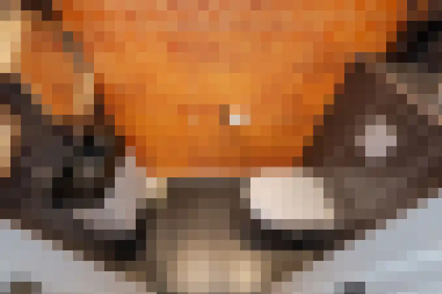 Franklin D. Rooseveltlaan 6 Rijswijk thumbnail 60