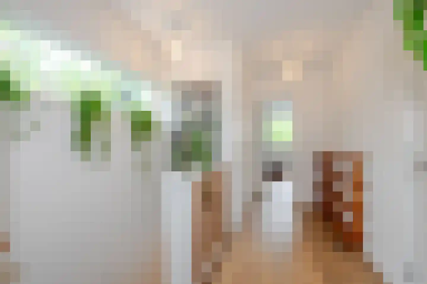 Franklin D. Rooseveltlaan 6 Rijswijk thumbnail 62
