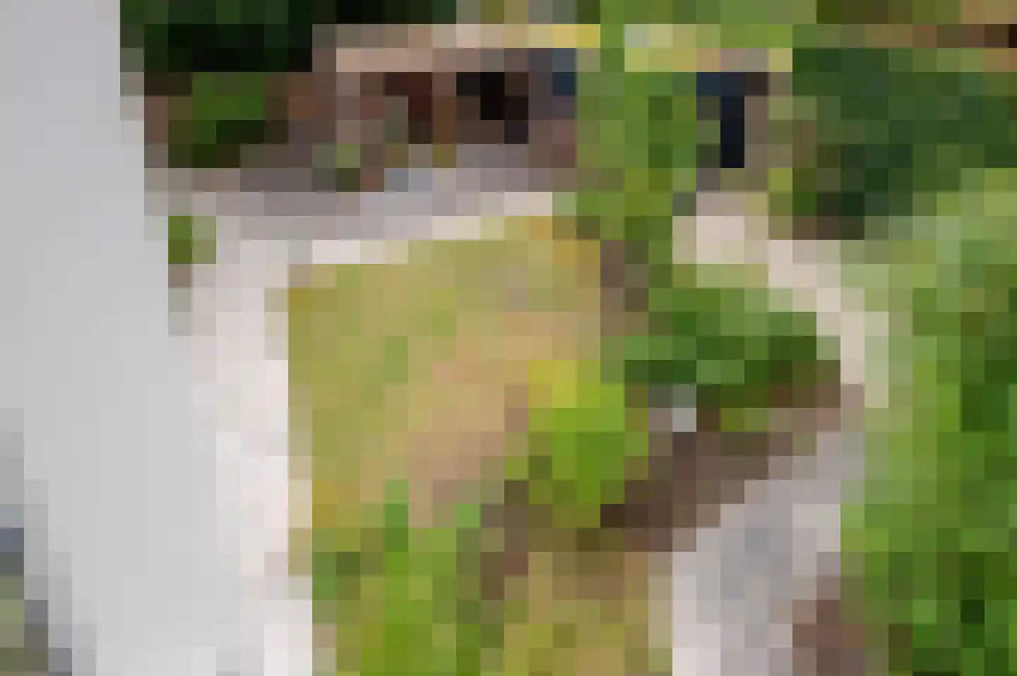 Franklin D. Rooseveltlaan 6 Rijswijk thumbnail 65