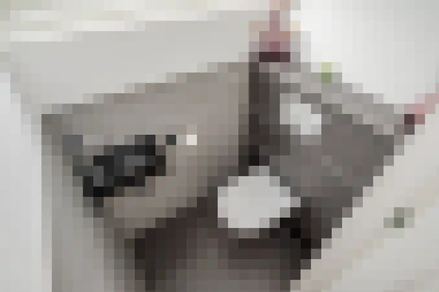 Franklin D. Rooseveltlaan 6 Rijswijk thumbnail 74