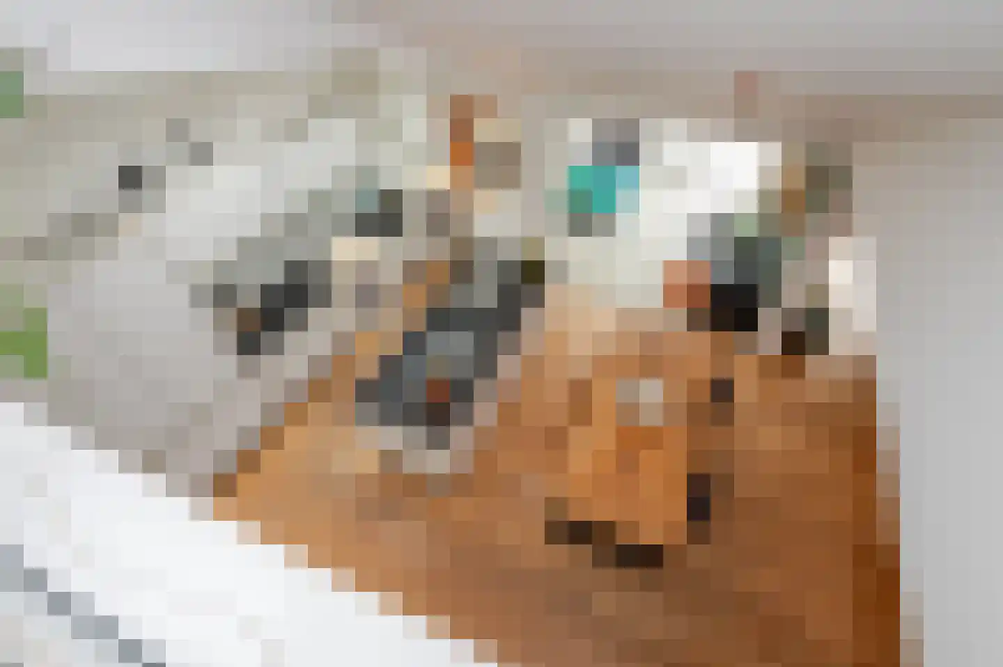 Franklin D. Rooseveltlaan 6 Rijswijk thumbnail 83