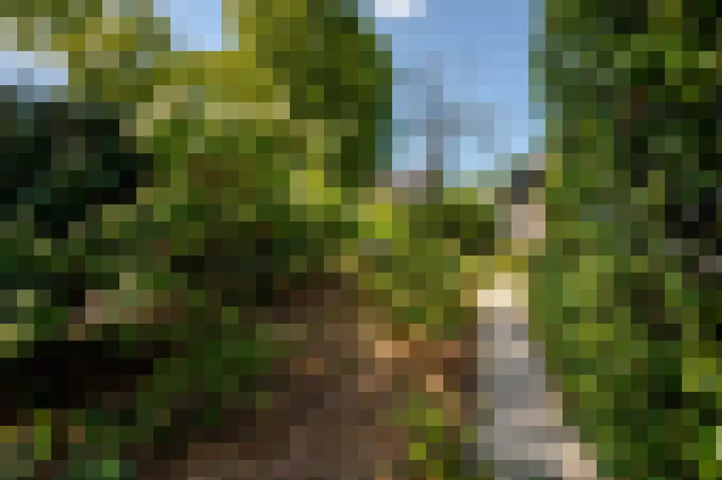 Franklin D. Rooseveltlaan 6 Rijswijk thumbnail 91