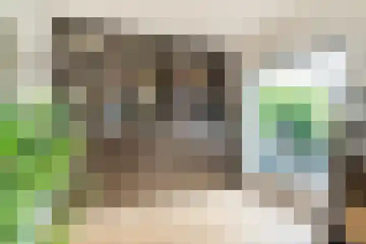 Franklin D Rooseveltlaan 8 Eindhoven thumbnail 11