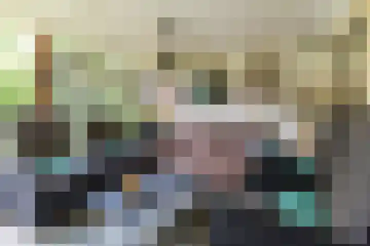 Franklin D Rooseveltlaan 8 Eindhoven thumbnail 19