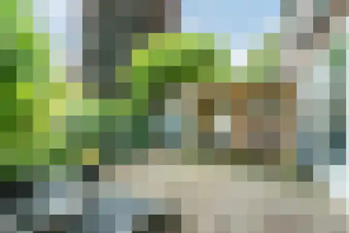 Franklin D Rooseveltlaan 8 Eindhoven thumbnail 32